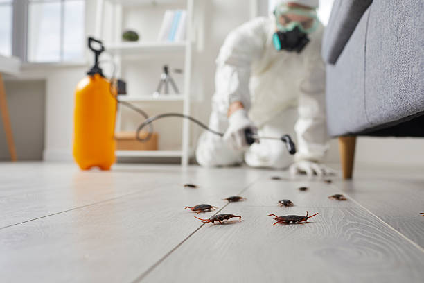 Trusted Mosquito Control service in Liberty Lake, WA - Nex Pest Control